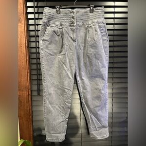 EUC Ryegrass Ankle Jeans Size 16 High Waisted Pleated Cropped Gray Pockets